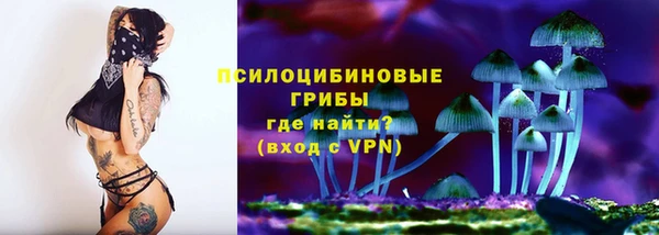 мет Касимов