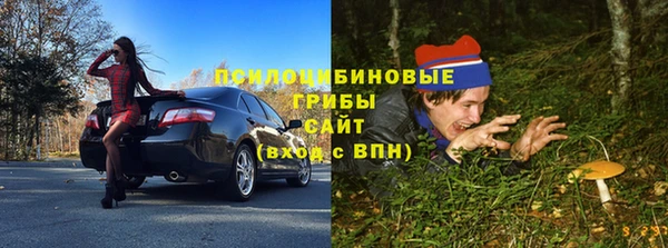 мет Касимов