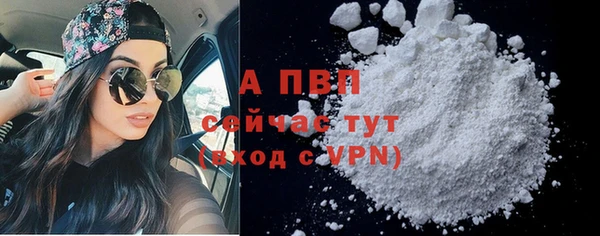 мет Касимов